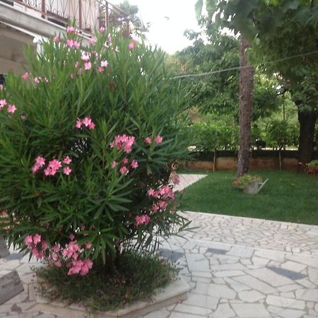 Vila Alma Пореч Екстер'єр фото