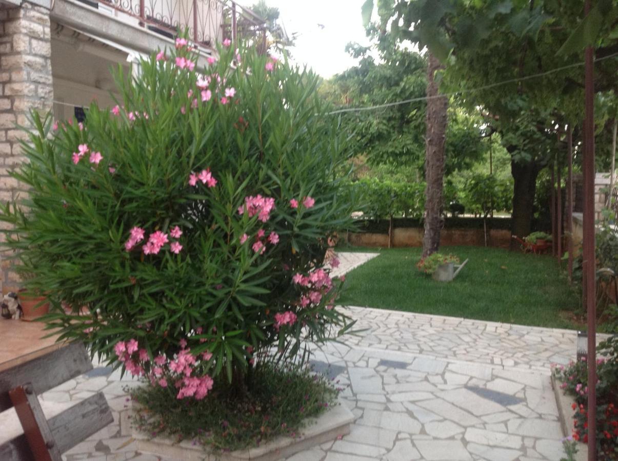 Vila Alma Пореч Екстер'єр фото